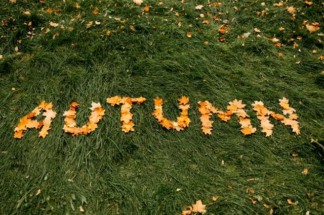 Yellow letters depicting the word Autumn on grass
