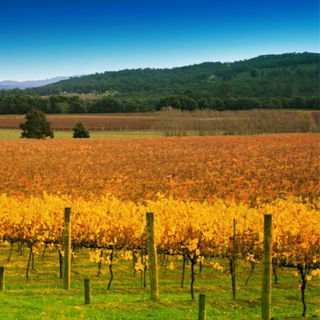 Autumn in Australia is a Sight To Behold: Significance, Characteristics and More Autumn in Australia is a Sight To Behold: Significance, Characteristics and More