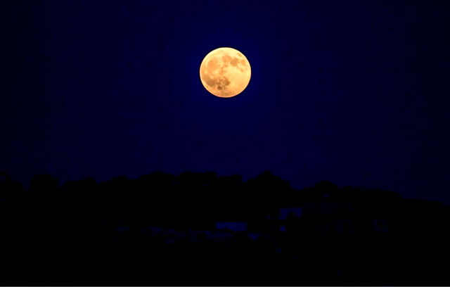 an image of beaver moon