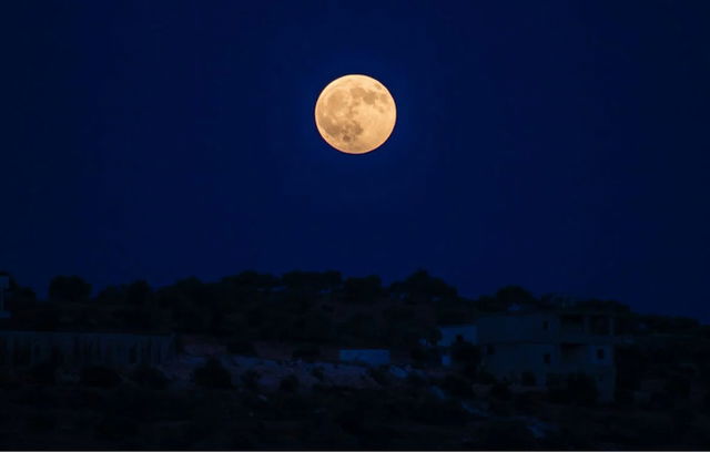 an image of beaver moon