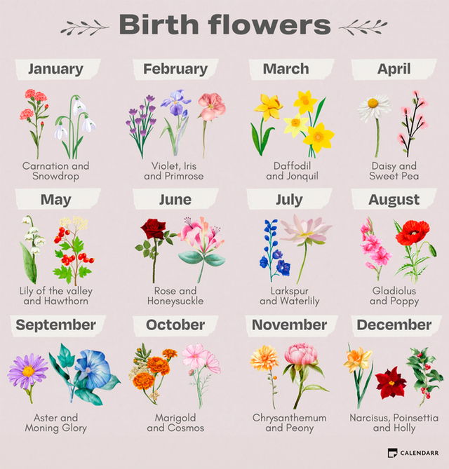 A Chart Showing All The Birthflowers of Each Month