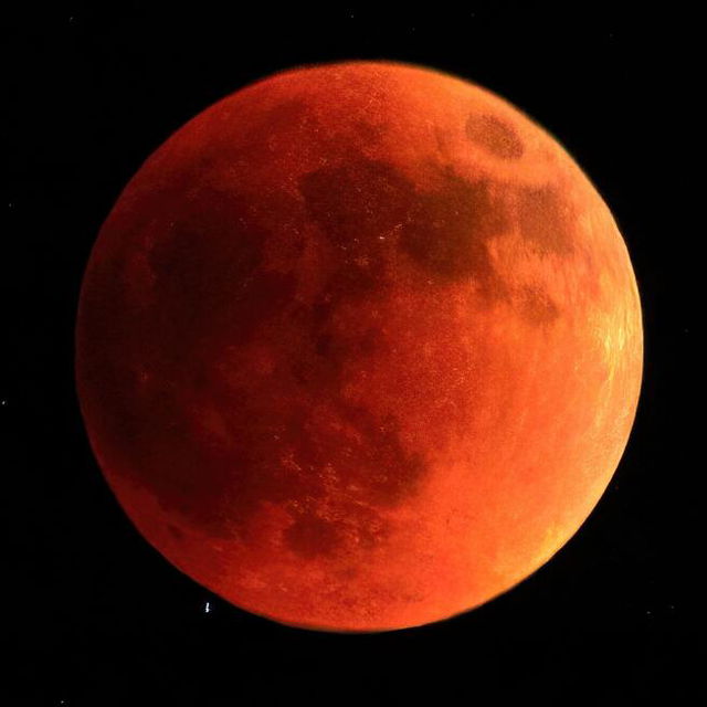 Image of Bloodmoon