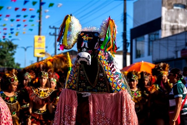Festa do Bumba Meu Boi em Maranhão
