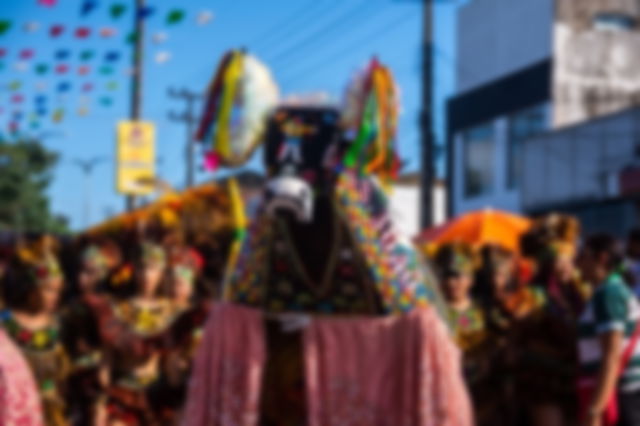 Festa do Bumba Meu Boi em Maranhão