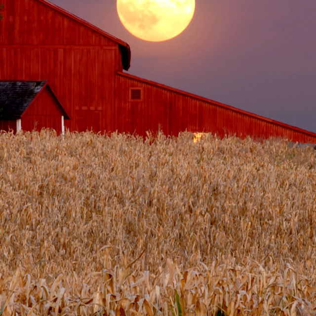 Waxing Crescent Moon marks countdown to Harvest Moon