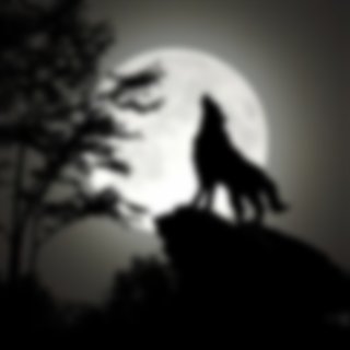 Wolf Moon 2023: What You Need To Know About It