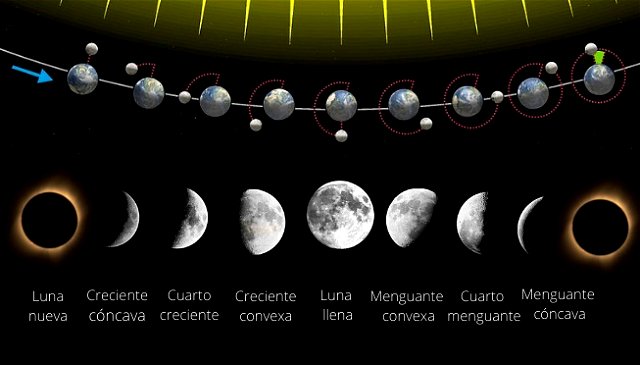 Fases de la luna hemisferio norte