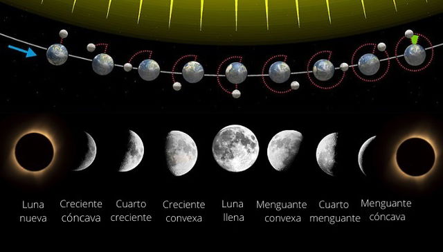 Fases de la luna