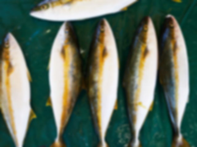 Fish placed on wet surface