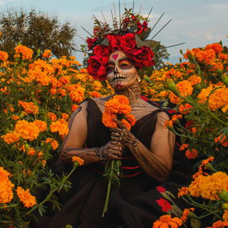 Las flores del Día de Muertos y qué simbolizan