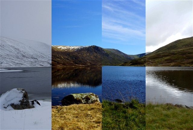 an image of the scottish countryside divided into four sections, one of each season