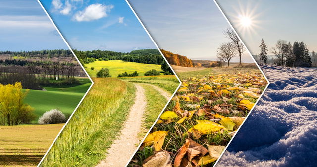 A composite image of the countryside divided into the four seasons by zig zagging white lines