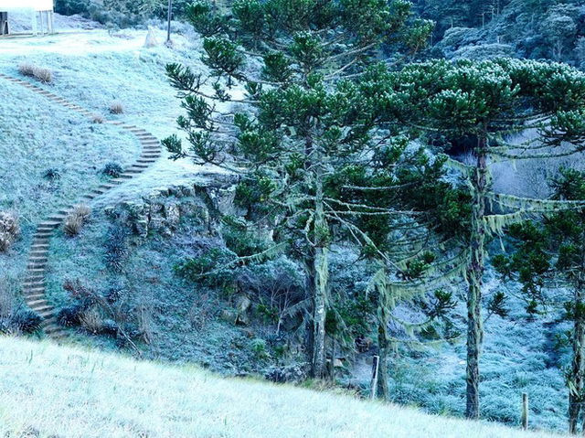 Frio intenso e inverno rigoroso com geadas no Sul do Brasil