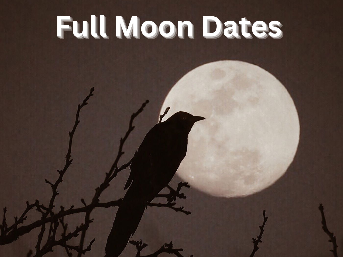 Full Moon Dates 2024 When Is The Next Full Moon Calendarr