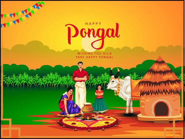 happy pongal