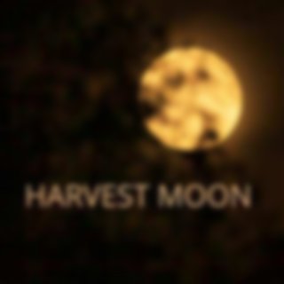 Harvest Moon 2024: When Is It, What Is It and What Does It Mean