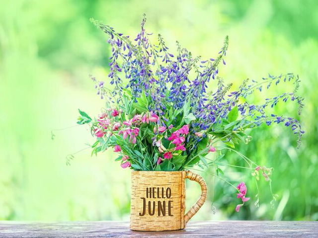 hello june