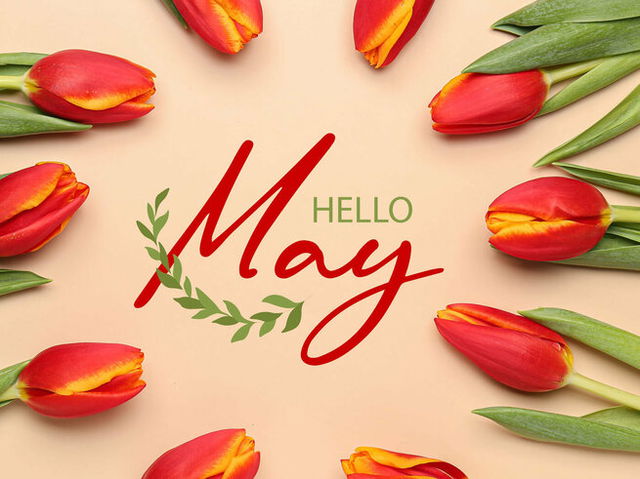 hello may poster