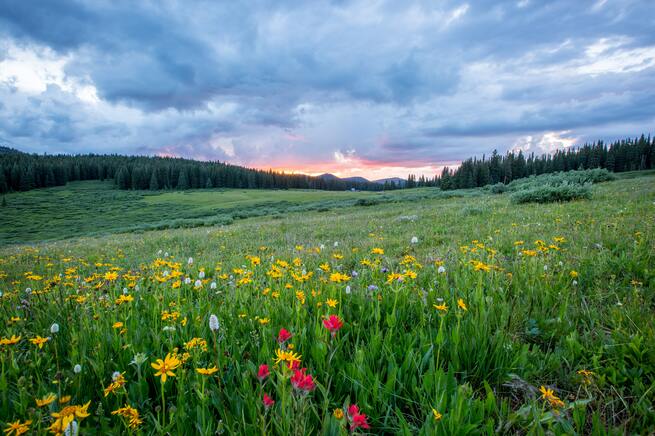 First day of Spring 2024 Spring Equinox Calendarr