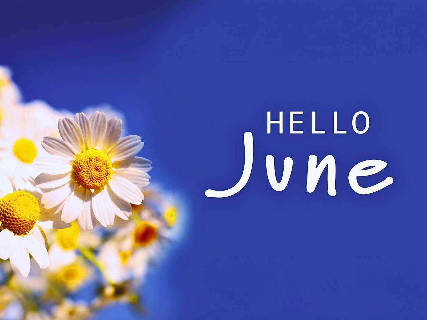 june-the-6th-month-of-the-year-calendarr