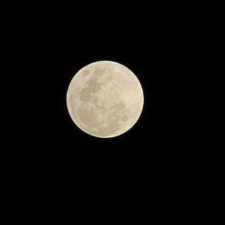 Lua cheia