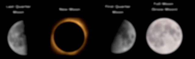 Moon Phases for February 2024