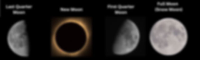 Moon Phases for February 2024