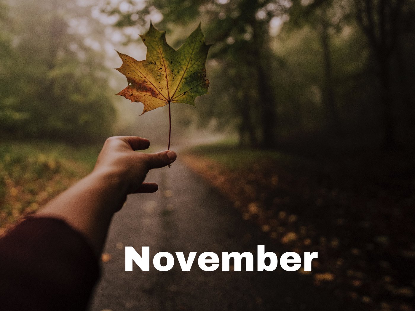 November: Exploring the 11th Month's Significance - Calendarr