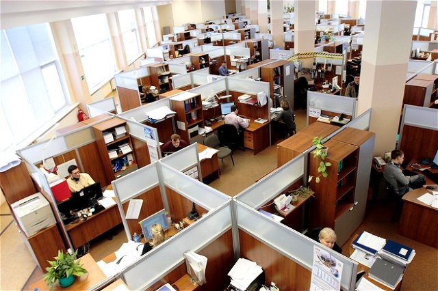 Employees working in bright and light office cubicles