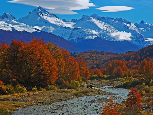estaciones del año en Chile: otoño en la Patagonia chilena