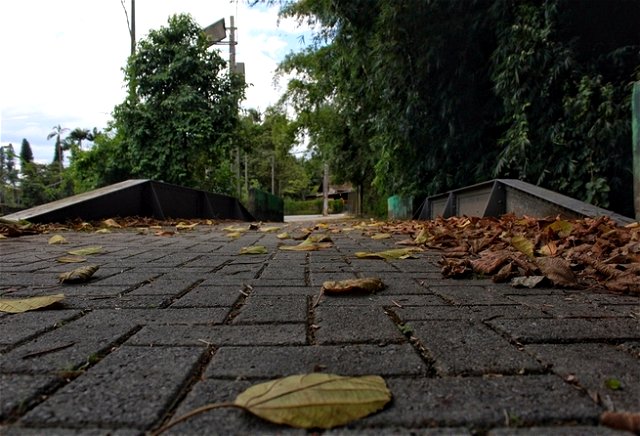 Ponte e calçada coberta de folhas secas, na cidade de Blumenau, Santa Catarina