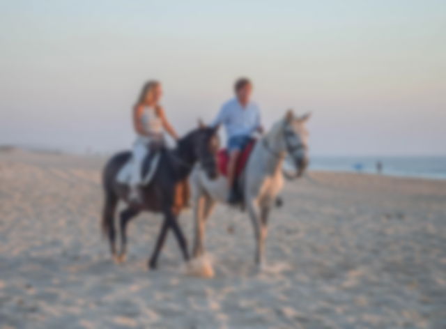 casal passeando a cavalo em praia