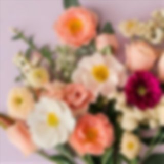 Birth Month Flowers: Discover What Yours Means