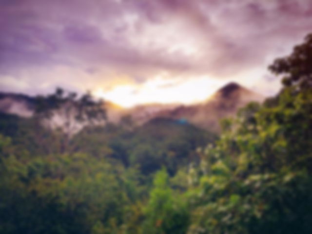 The amazon rainforest, misty against a purple summer sky at dawn.