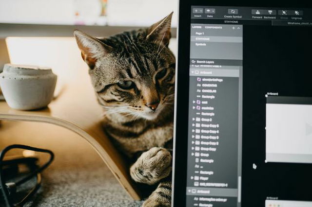 A cat sitting behind the laptop