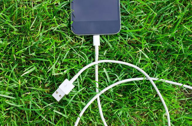 Iphone lying in bright green grass, turned off. Cable attached, but unplugged from the other side.