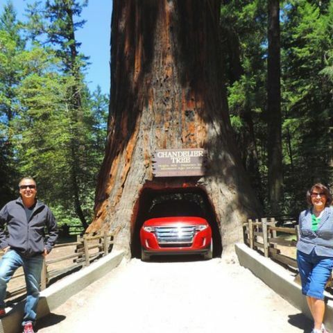 Two people posing beside a massive hollow redwood tree with a car parked inside its carved tunnel, surrounded by a forest of tall trees and a sign reading &ldquo;Chandelier Tree&rdquo; above the opening.