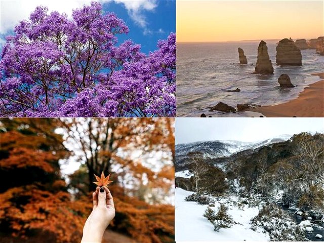 A collage depicting the different seasons