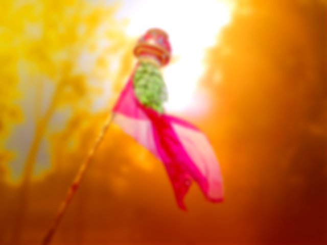 A Gudi or flag is worshiped on Gudi Padwa