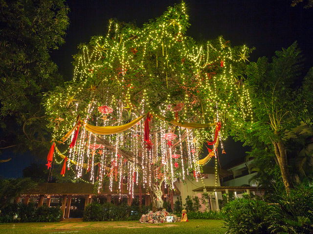 Christmas tree with presents, South Goa in India