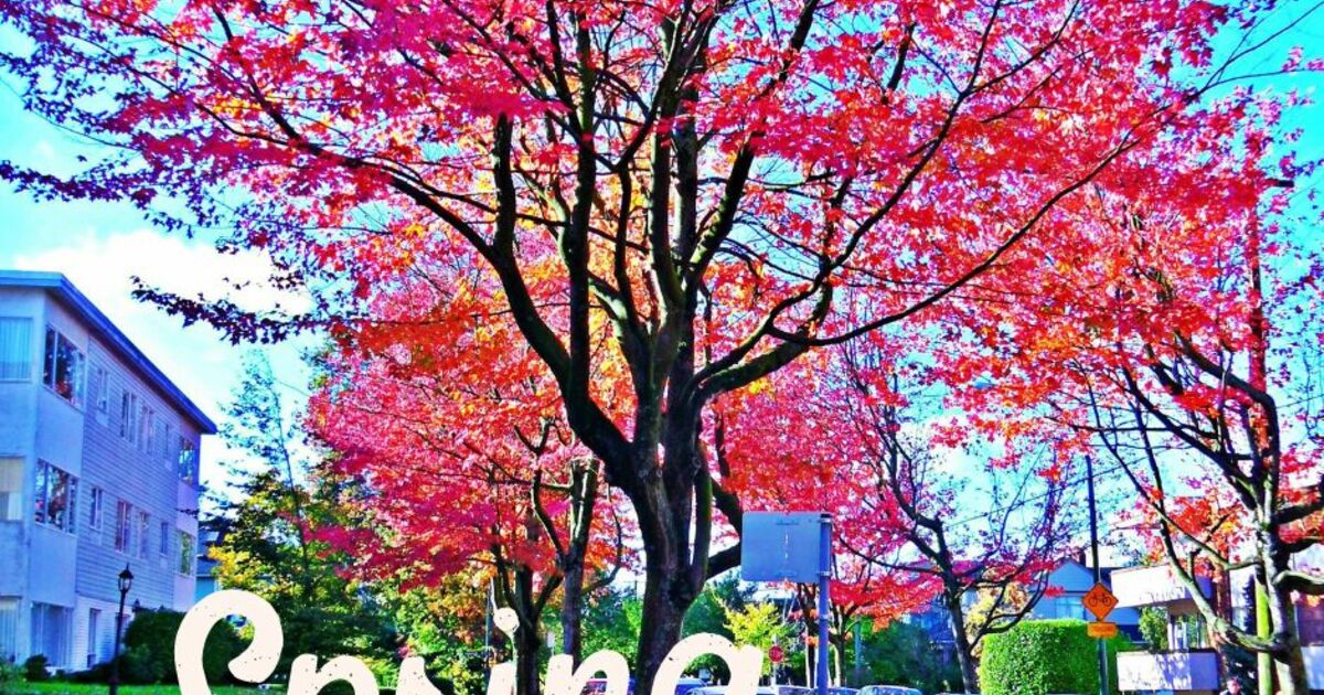 Spring Season Date Months And What It Looks Like Calendarr