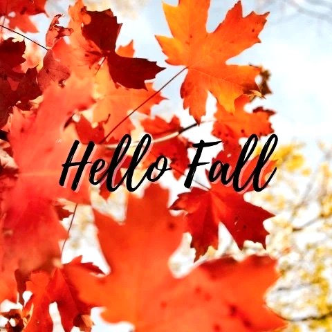 hello fall card with leaves in the background