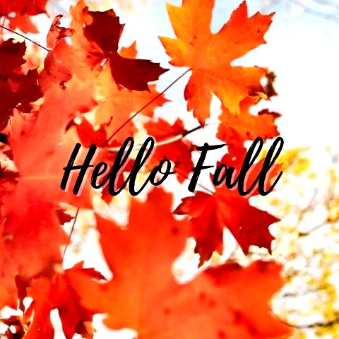 hello fall card with leaves in the background