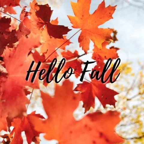 hello fall card with leaves in the background