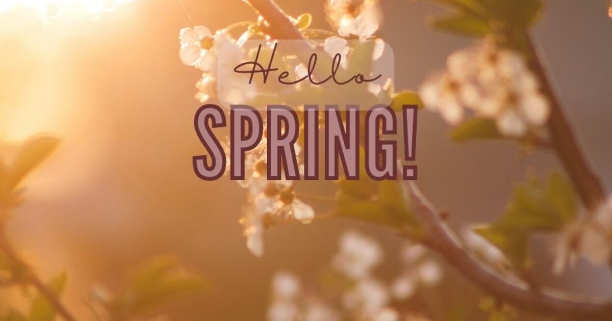 First Day of Spring 2024: What is the First Day of Spring and How