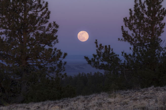 Pink Moon 2024 Its Date Folklore And Significance Calendarr   Stocksnap Sb4brfibge C 