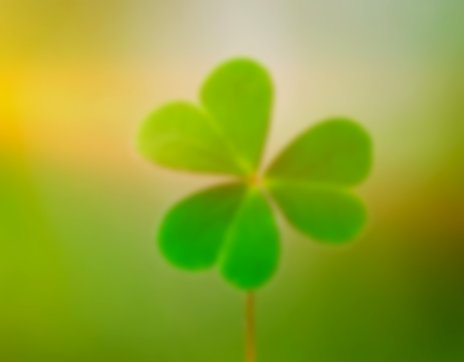 Saint Patrick Used The Shamrock Or A Three Leaf Clover To Represent The Holy Trinity