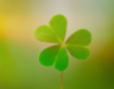 Saint Patrick Used The Shamrock Or A Three Leaf Clover To Represent The Holy Trinity