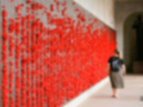 A woman walking by a wall of red poppies on Anzac Day