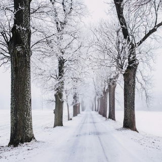 Winter: Duration, Characteristics, Celebrations, and Interesting Facts Winter: Duration, Characteristics, Celebrations, and Interesting Facts